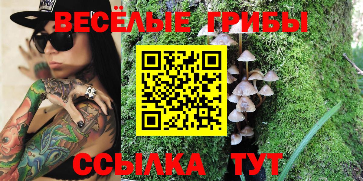 Галлюциногенные грибы ЛСД Муром