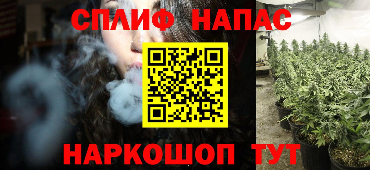 Конопля конопля Муром